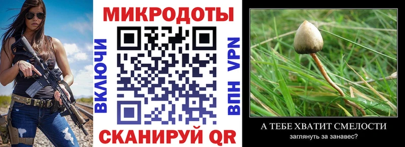 Галлюциногенные грибы MAGIC MUSHROOMS  Магас 